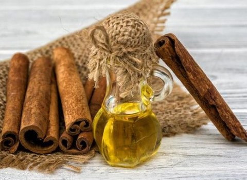 خرید و قیمت دارو گیاهی روغن دارچین + فروش صادراتی